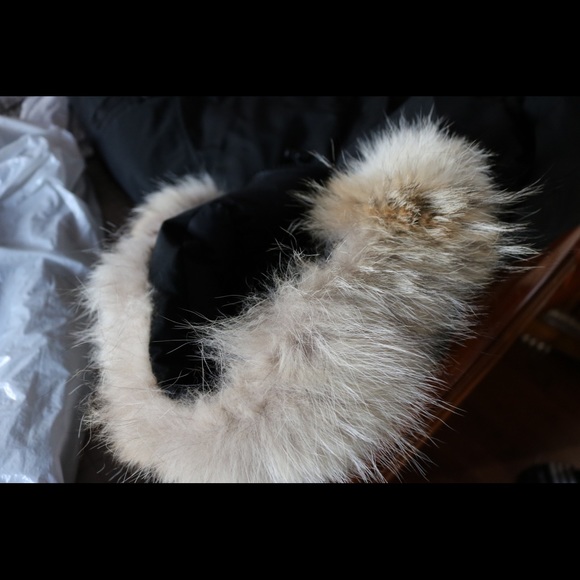 COPY - Canada Goose Jacket - Picture 4 of 6